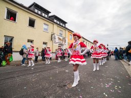 Faschingszug Diesenbach 2025_65